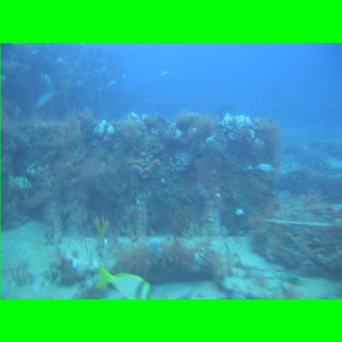 Dive WP Wrecks 25-Oct-09_395.JPG